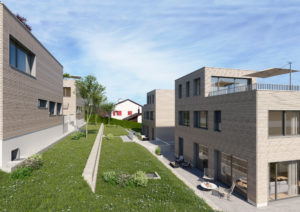 Architektur-Visualisierung-Siedlung-Neubau-Einfamilienhaus